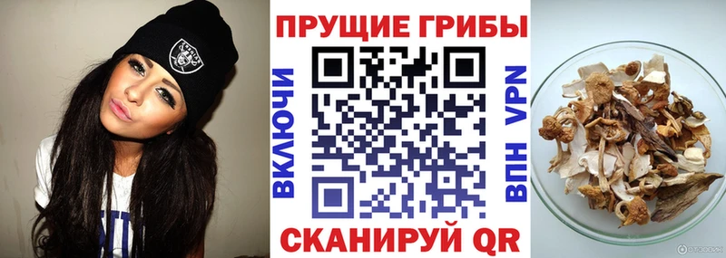 магазин ОМГ ОМГ сайт Галлюциногенные грибы GOLDEN TEACHER Рудня