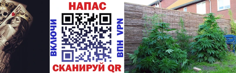 Бошки марихуана Bruce Banner Рудня